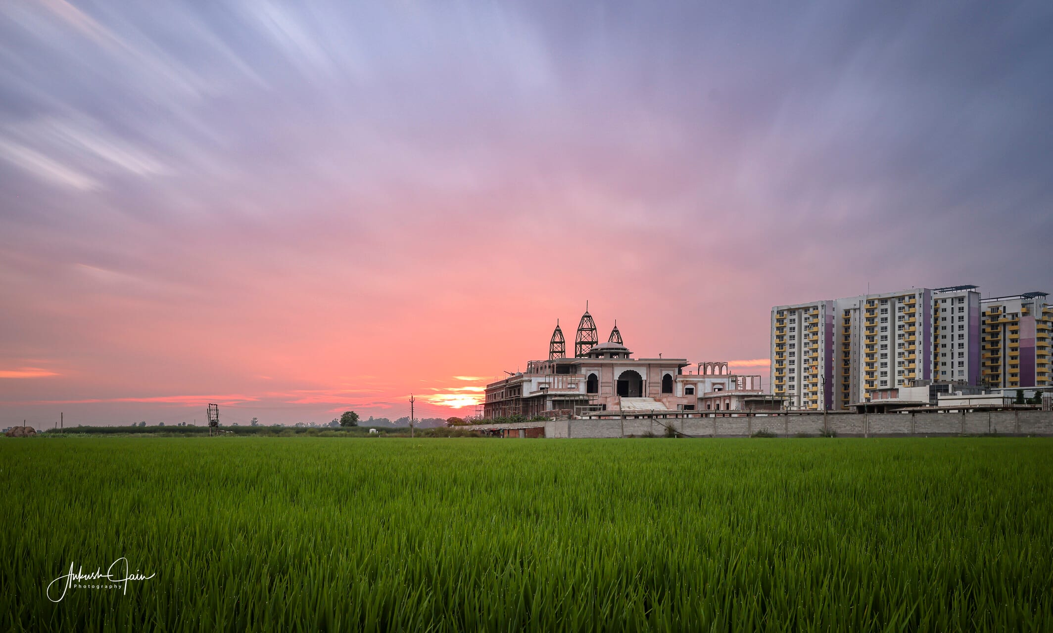 ISKCON temple at dawn over a paddy field, apartments rising on the horizon, South City Ludhiana