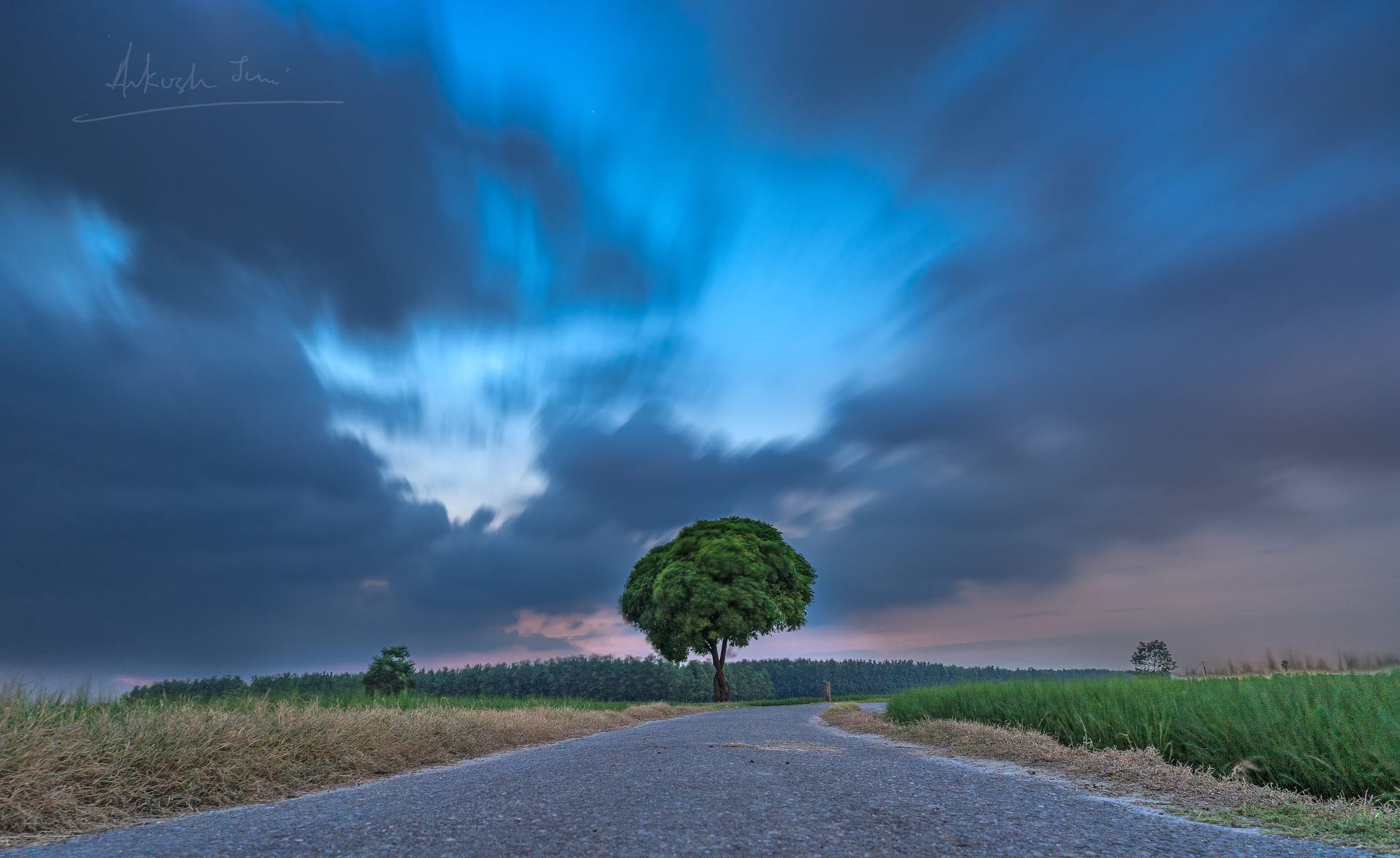 Lone tree on a country road under streaked twilight clouds, village Ladian