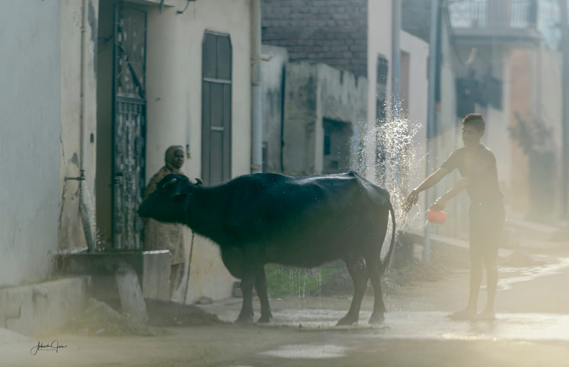 Young boy bathing a buffalo in a backlit alley at Malakpur Bet, woman watching from a doorway