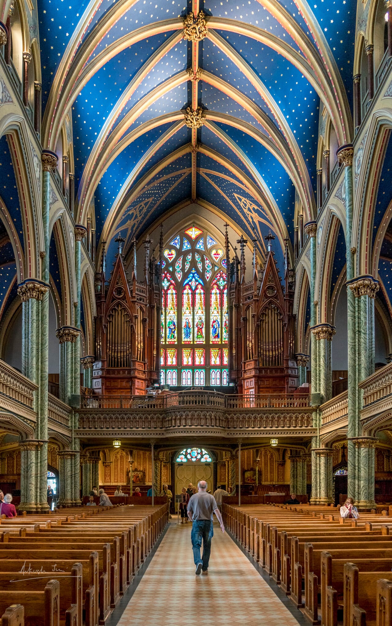 Lone visitor walking the aisle of Notre-Dame Cathedral Basilica, Ottawa, starry blue vaulted ceiling above