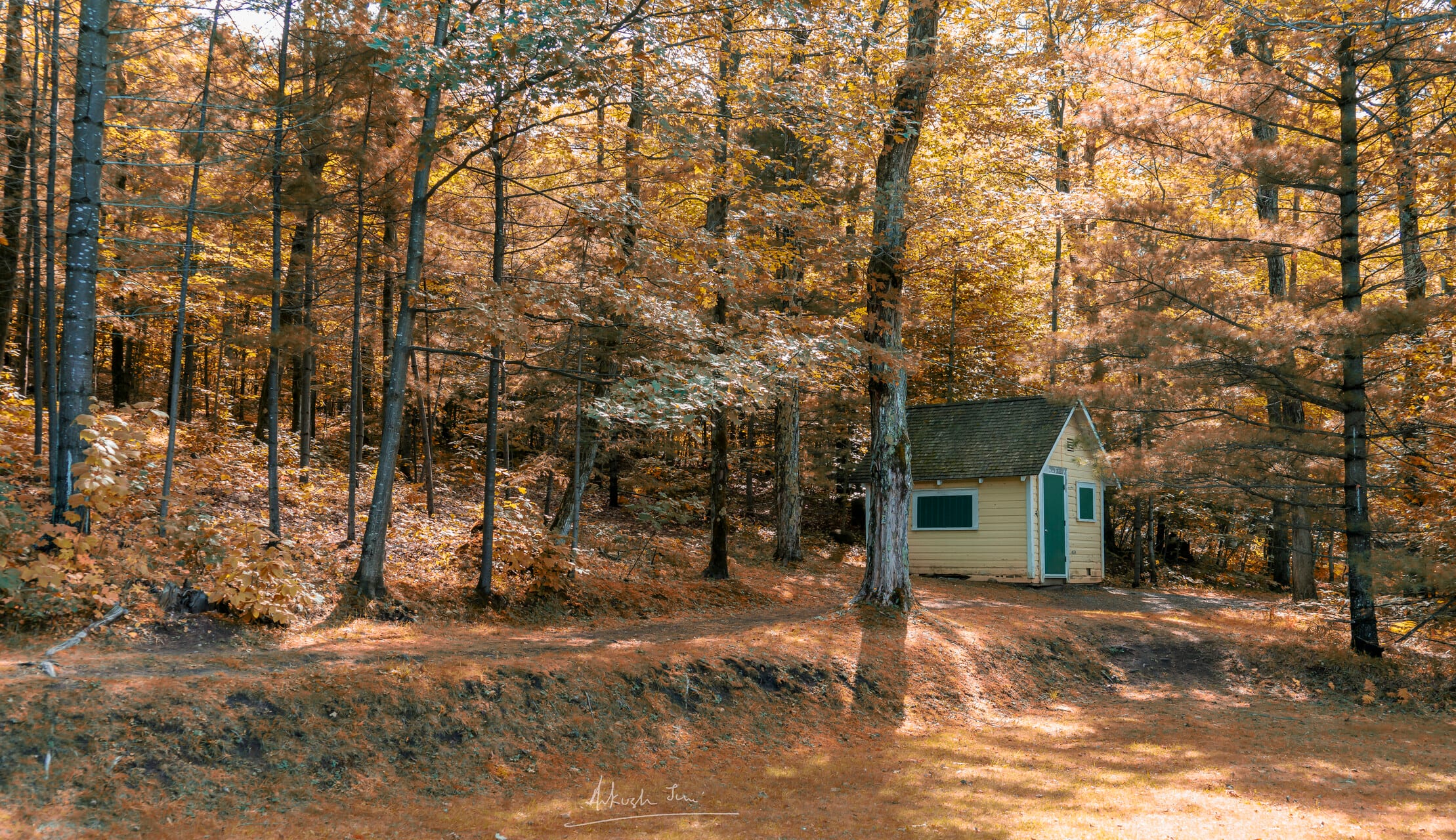 A little cabin tucked among autumn-coloured trees on a forest path, Gatineau Park