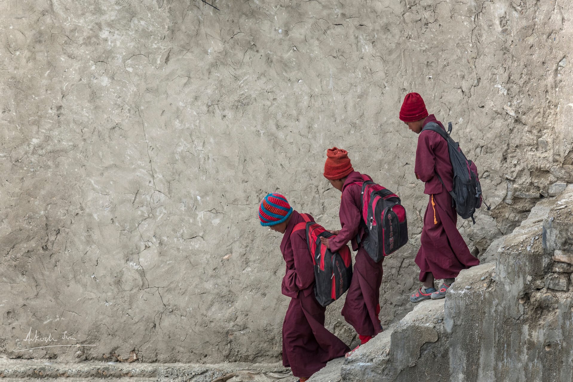 Three young monks in maroon robes climbing stairs against a textured wall, Changthang