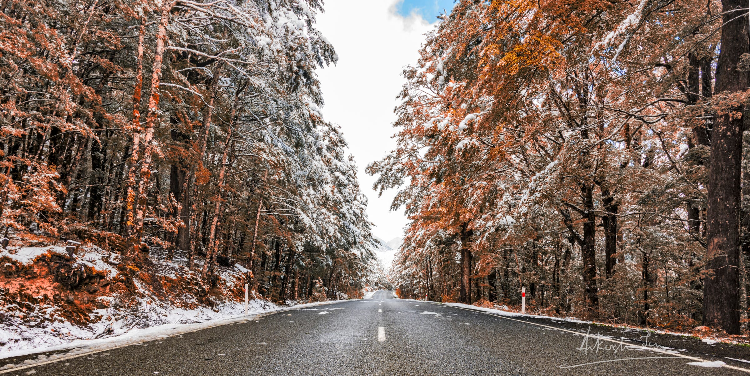 Snow-dusted road through orange beech forest on the alpine route from Kaikoura to Queenstown
